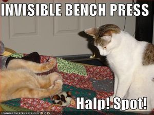 invisible-bench-press